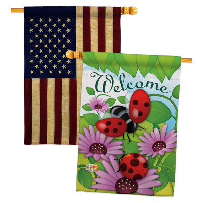 Drapeaux 40 x 28 pi