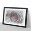 Pink Rose Flower Vol.3 - Picture Frame Drawing-62804213-62804216