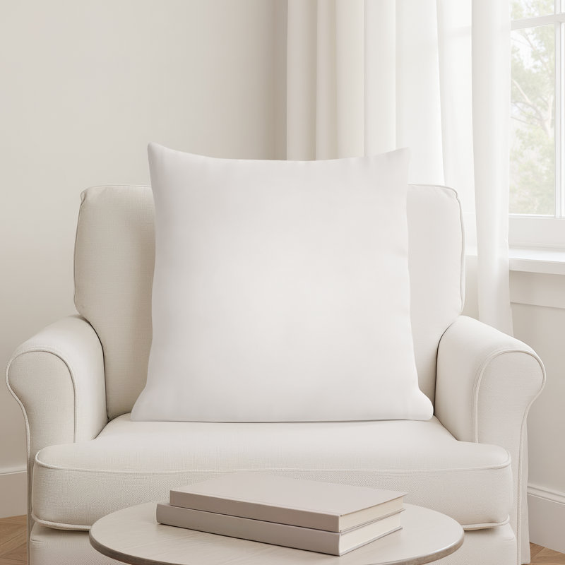 Coussin en duvet de qualité supérieure Steves, 20 po x 20 po