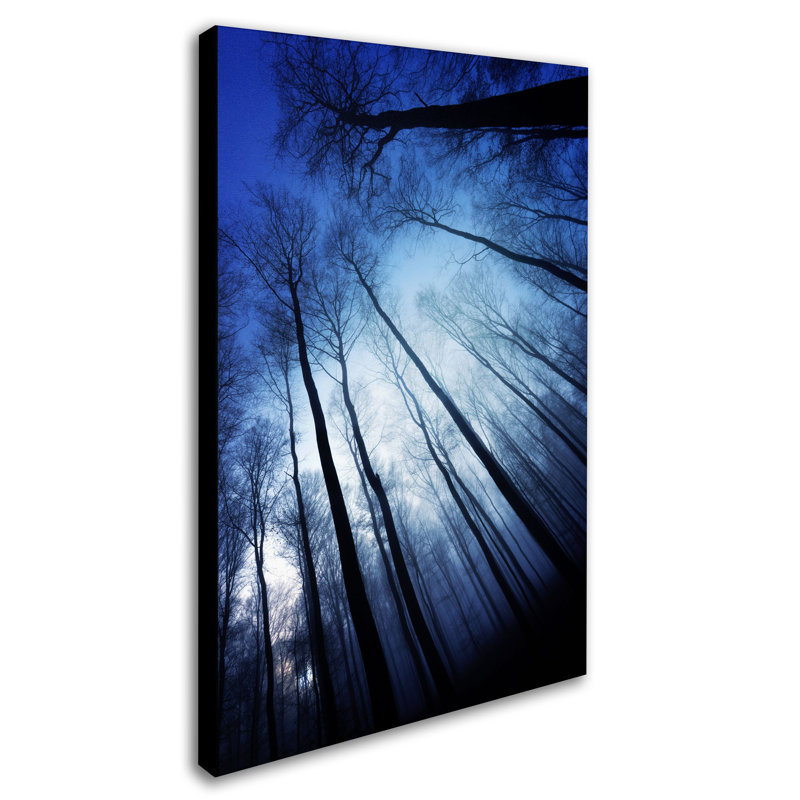 Blue Forest Landscape Canvas Art by Philippe Sainte-Laudy