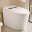 Toilette à bidet intelligente DeerValley