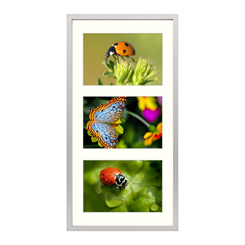 Cadre photo Drennon, 4 po x 6 po, Argent, 7 po x 14 po emmêlé à 4 po x 6 po