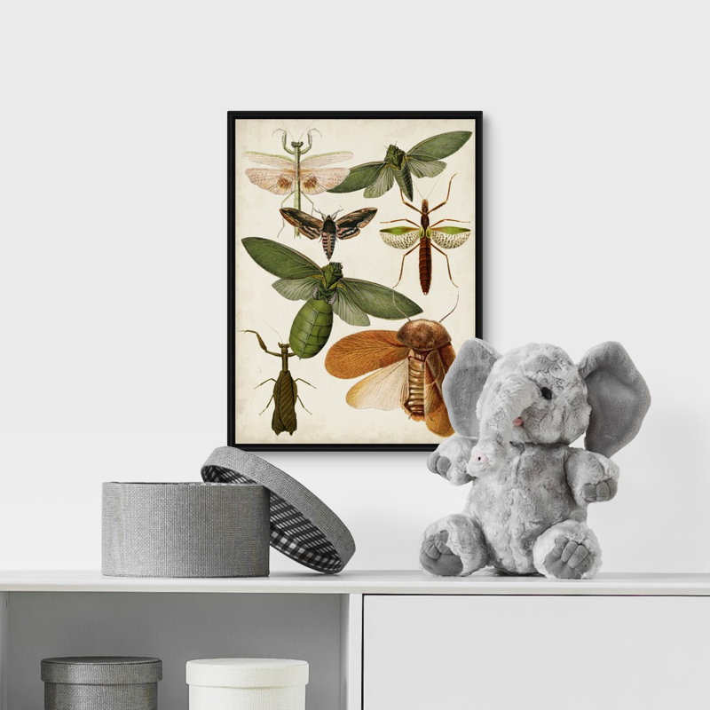 « flying bugs kids », art encadré, H 36 po x l 12 po x P 1,2 po, Cadre pour toile flottant noir