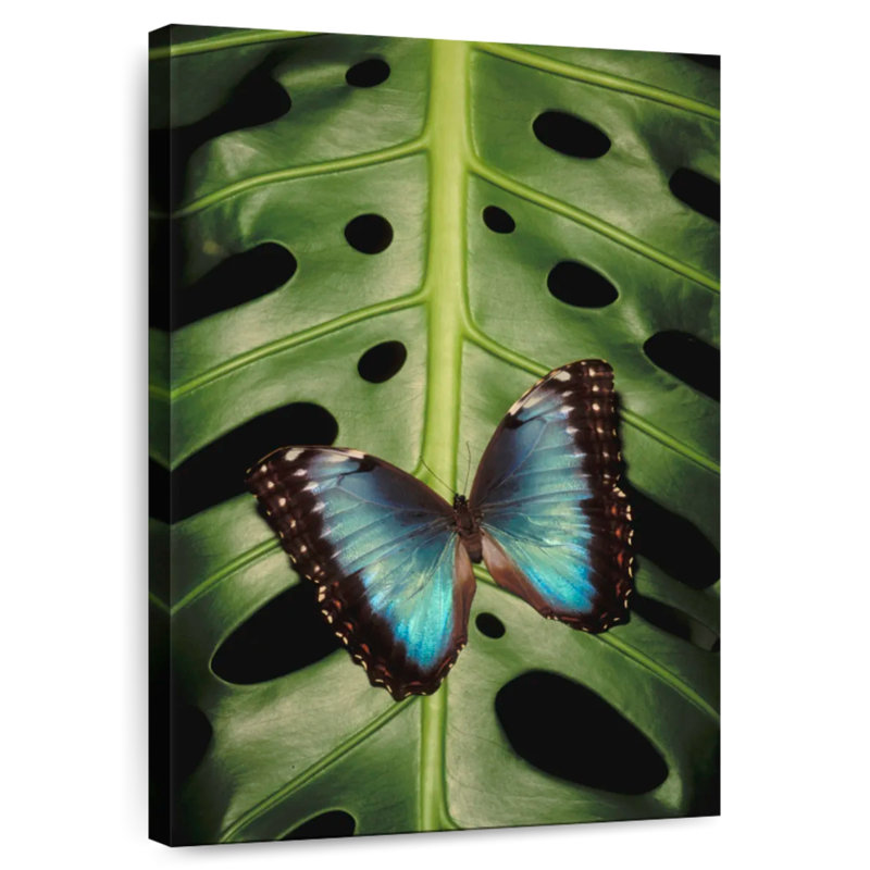 Brampt Butterfly On Monstera, 45" H x 30" W