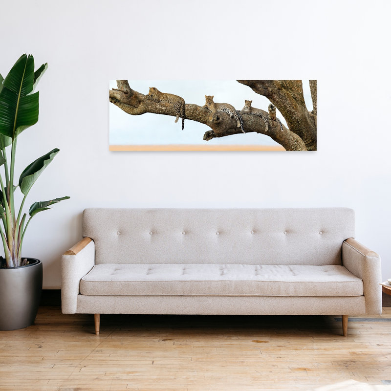 Leopard Family Sitting On A Tree Serengeti National Park Tanzania by Todd Gustafson - Wrapped Canvas Panoramic Print