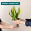 FLHPOT Ceramic Pot Planter-219634319