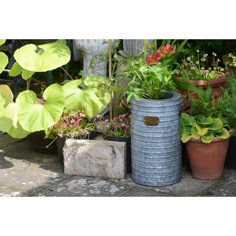 Langan Metal Pot Planter