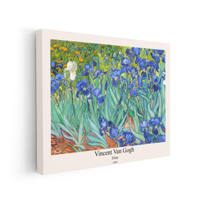 Van Gogh - Irises No2