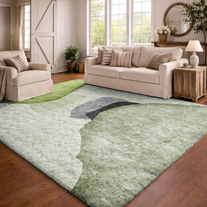 Tapis à poil long de qualité supérieure lavable à la machine ADS547, 3' x 5', Green