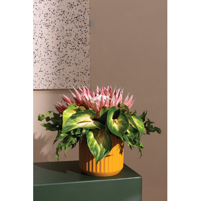 Evie Handmade Ceramic Pot Planter