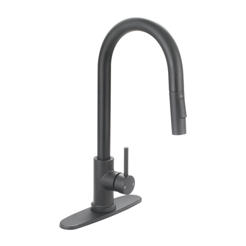 Robinet de cuisine Banille Faucets, Noir mat