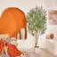 Olive artificielle Ashwell avec pot blanc -155919475