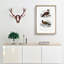 Bird Illustrations PL. 7 by Charles D' Orbigny - Single Picture Frame Painting-55457162-55457163