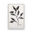 Ensemble de 4 botaniques noirs et blancs-1479030325-1479030323