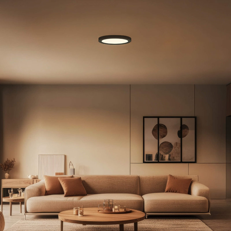 Plafonnier rond intelligent Radiance, Noir