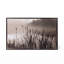 Cattail Framed Photographic Print Canvas