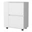 Chariot de cuisine rectangulaire blanc avec rangement et roulettes pour barre de mobilité-1296058568