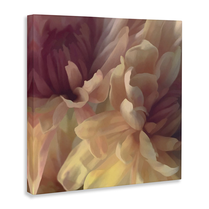 «Curling Dahlia Petals» par David Pollard, H 17 po x l 17 po