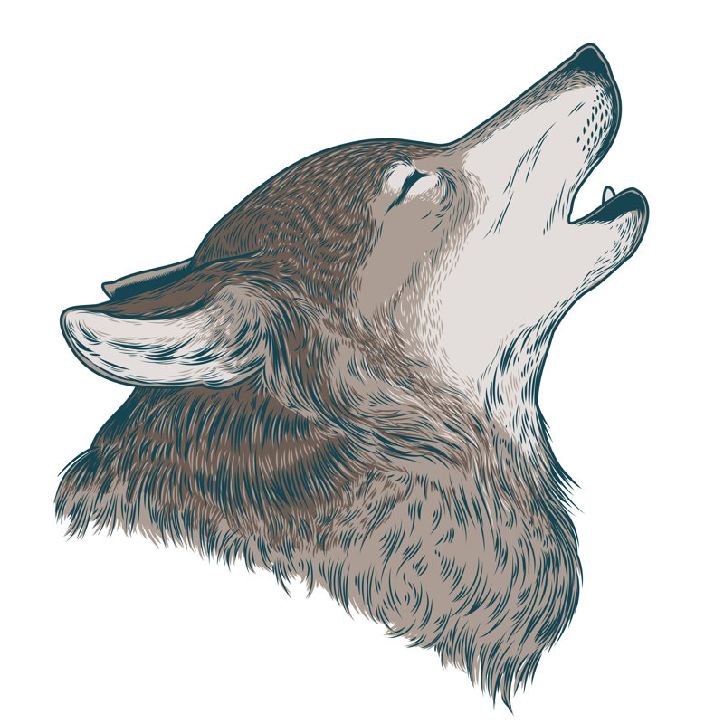Vector Illustration Of A Howling Wolf by VectorPocket - Wrapped Canvas Print, 91cm H x 91cm W x 3.8cm D
