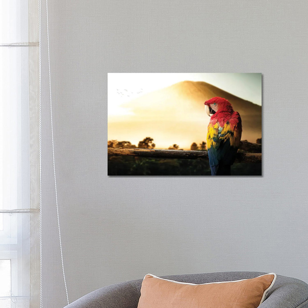 Parrot by Milos Karanovic - Wrapped Canvas Print