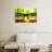 Alcaraz Forest Vision-107676748