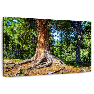 Harnek Sunny Forest