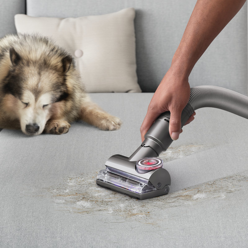 Dyson Ball Animal 3 Extra Upright Vacuum