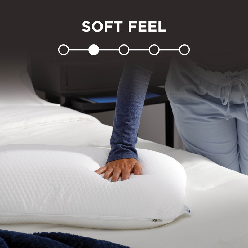 Tempur-Symphony Foam Plush Support Pillow, 2 Pack