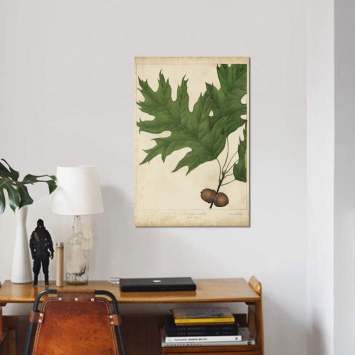 «Oak Leaves & Acorns II», impression sur toile, H 18 po x l 12 po x P 1,5 po, Toile tendue, Pas de tapis