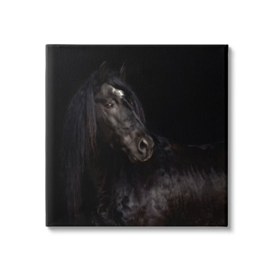 «Elegant Black Stallion» par PHBurchett - reproduction d'art sur toile tendue
