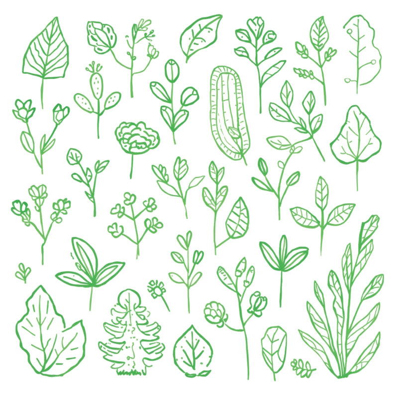 Rideaux de douche Green Botanical Illustration, 70 po L x 84 po H