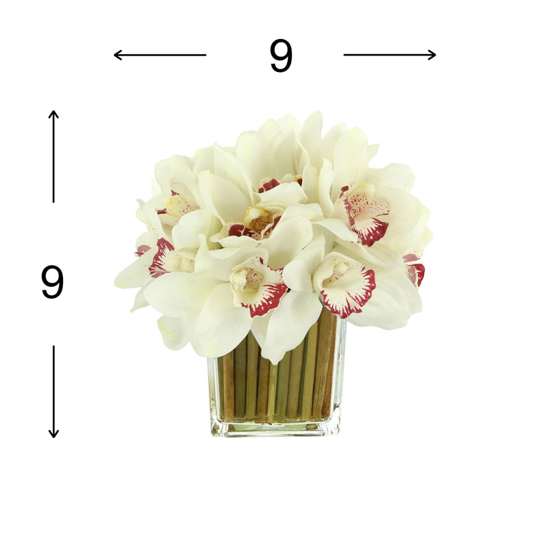 Orchids Arranged in Bamboo-Filled Glass Vase, White