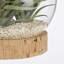 Cedernier Glass Table Vase 1-601099253