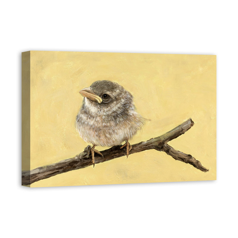 Little Bird - Print on Canvas, 20" H x 30" W, Wrapped Canvas