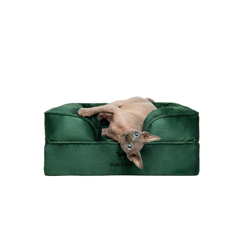 Lit pour chien géant Noah & Paw XXL, lits orthopédiques pour chien, mousse viscoélastique infusée de gel rafraîchissant, housse intérieure, imperméable, lavable à la machine (collection de canapé en velours)