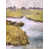 Brown Framed Canvas is unavailable