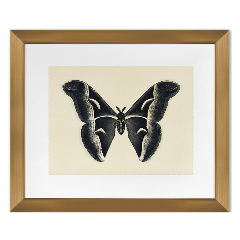 Flutter 3 Print by Todaro, Katie