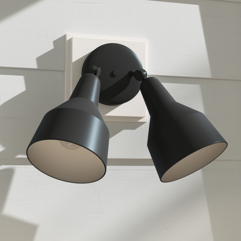 Projecteur rotatif réglable à deux lumières de Génération Lighting , Noir