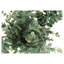 Ensemble de 2 plantes d'eucalyptus artificiel, verdure haute de 13 pouces dans un pot robuste pour une présentation sur table-130191331-130191330
