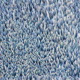 Gray Malin Snowy Pines 10' L x 24" W Wallpaper Tile