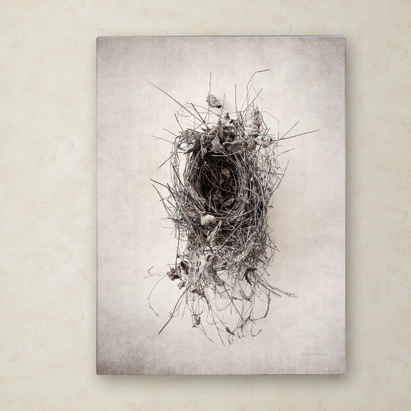 « nest ii », reproduction de photo sur toile tendue, H 19 po x l 14 po