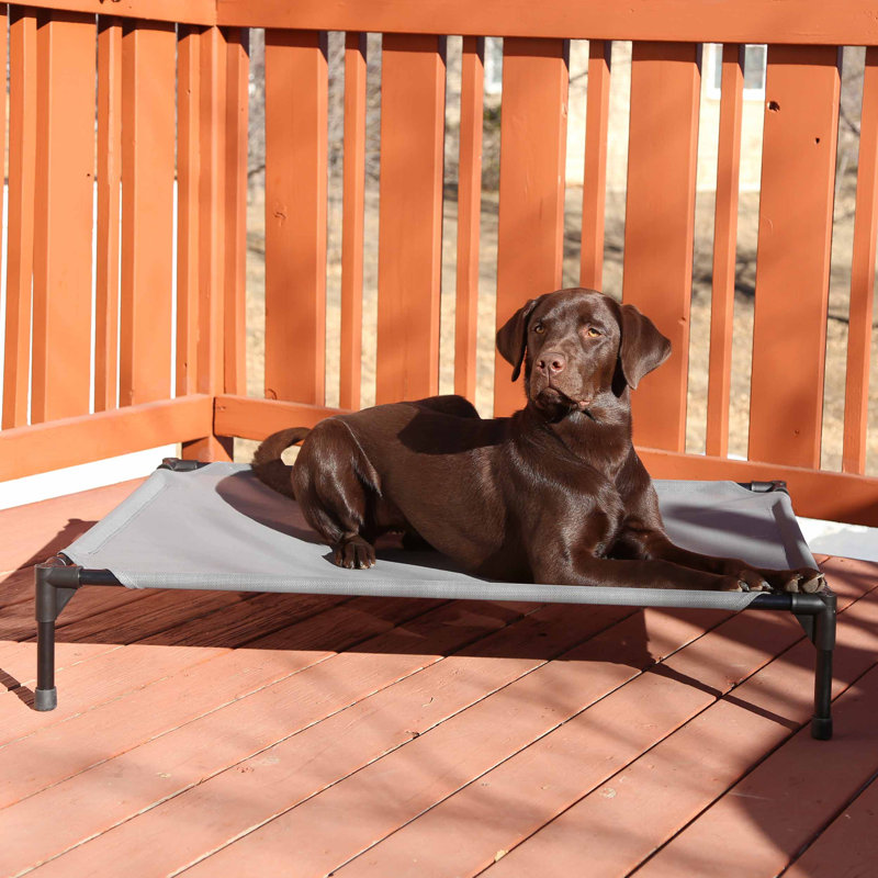 Polyester Pet Bed, 30" W x 42" D x 7" H