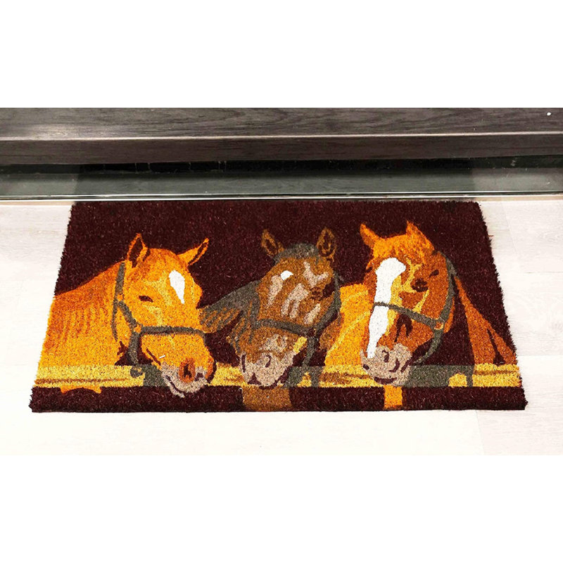 Tapis d'entrée antidérapant Jimalee 29,75 po x 17,75 po