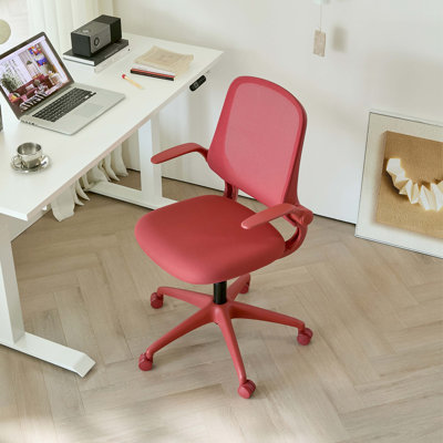 Fauteuil de bureau ergonomique et coloré 350LBS Home Office Mesh