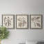 Ensemble de 3 cadres photo sur toile Midnight Tulip V-981462660-981462661