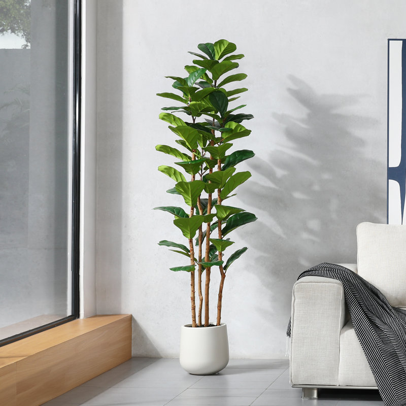 Adcock  Artificial Fiddle Leaf Fig Tree with Realistic Leaves and Natural Trunk, Potted Tree, 72" H x 24" W x 24" D