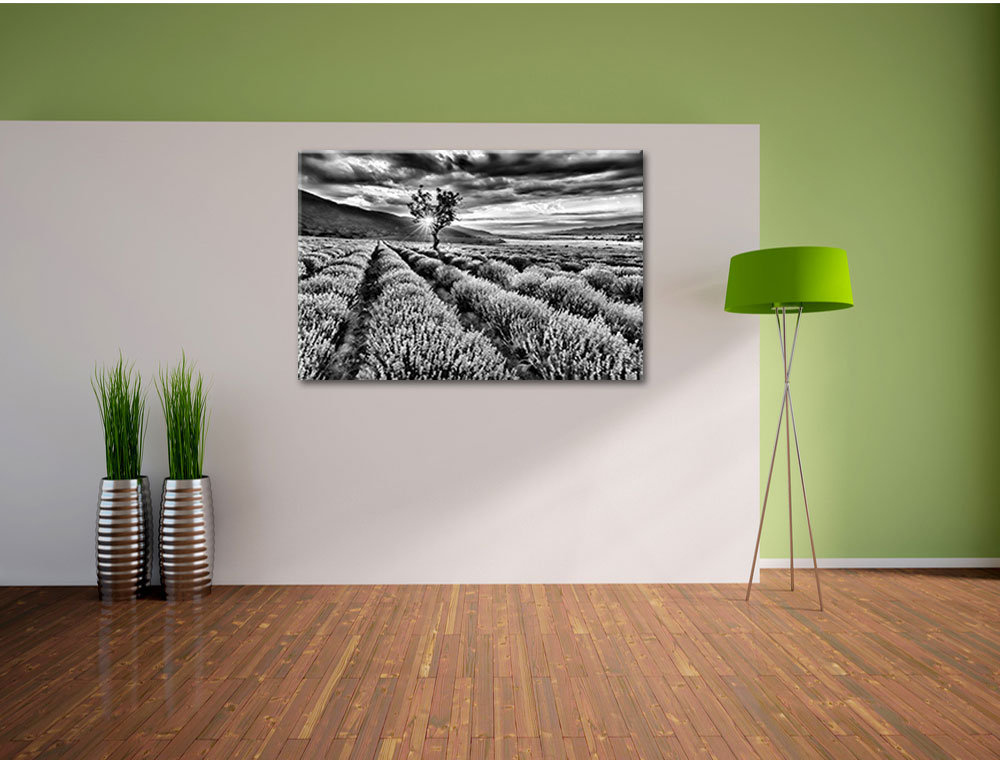 Leinwandbild Traumhafte Lavendel Provence mit einsamen Baum in Monochrom