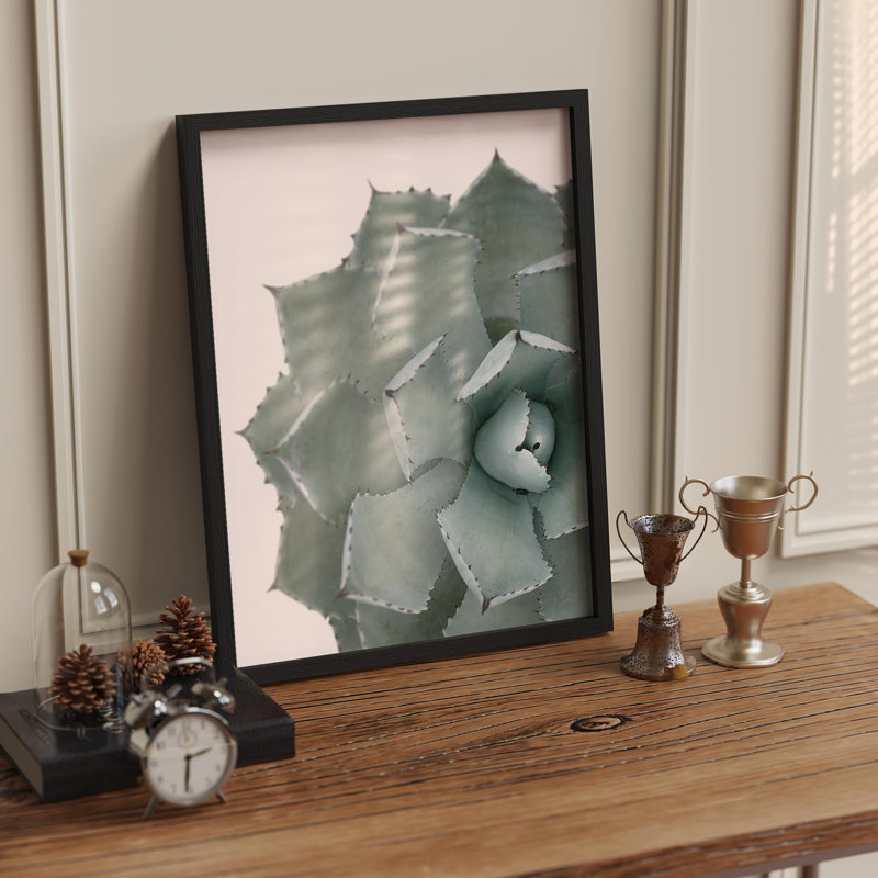Gros plan sur une plante agave, petite œuvre d'art décorative, Blanc, H 16 po x l 12 po