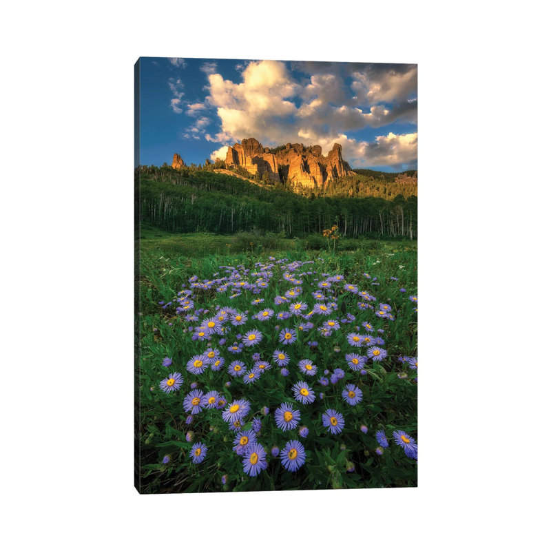 Canyon And Daisies By Mei Xu - Wrapped Canvas Photograph by Mei Xu - Wrapped Canvas Print, 30.48cm H x 20.32cm W x 1.91cm D