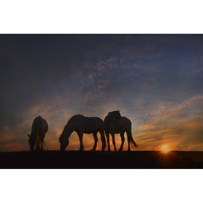 Camargue Sunrise - Photograph, 51 cm H x 76 cm W, Wrapped Canvas